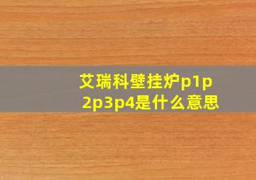 艾瑞科壁挂炉p1p2p3p4是什么意思