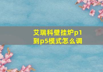 艾瑞科壁挂炉p1到p5模式怎么调