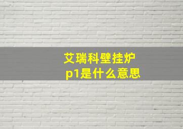 艾瑞科壁挂炉p1是什么意思