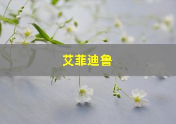 艾菲迪鲁