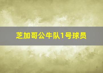 芝加哥公牛队1号球员