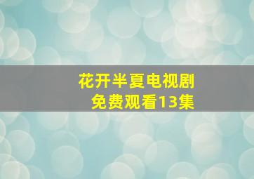 花开半夏电视剧免费观看13集