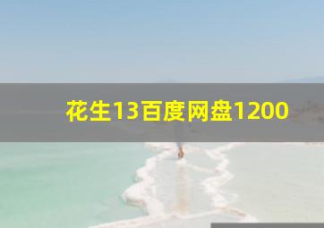 花生13百度网盘1200