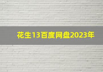 花生13百度网盘2023年