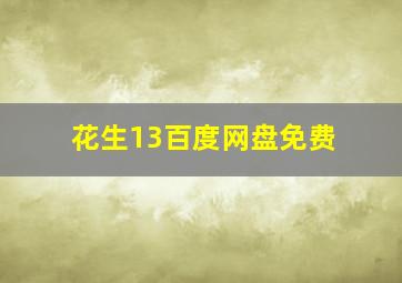 花生13百度网盘免费