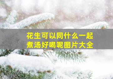 花生可以同什么一起煮汤好喝呢图片大全