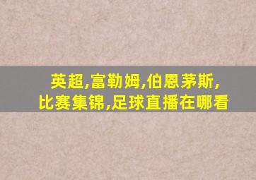 英超,富勒姆,伯恩茅斯,比赛集锦,足球直播在哪看