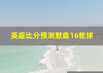 英超比分预测默森16轮球