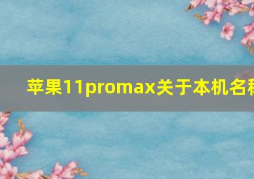 苹果11promax关于本机名称