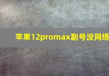 苹果12promax副号没网络