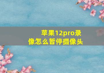 苹果12pro录像怎么暂停摄像头