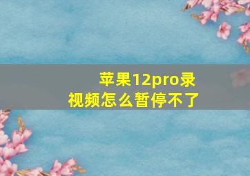 苹果12pro录视频怎么暂停不了