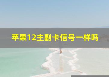 苹果12主副卡信号一样吗