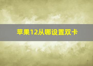 苹果12从哪设置双卡