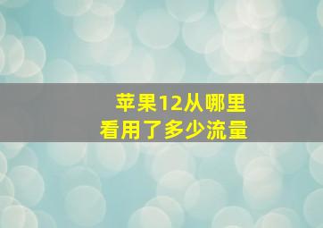 苹果12从哪里看用了多少流量