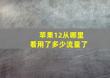 苹果12从哪里看用了多少流量了