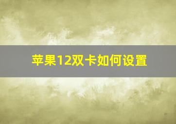 苹果12双卡如何设置