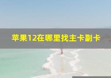 苹果12在哪里找主卡副卡