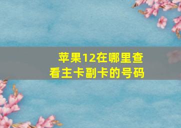 苹果12在哪里查看主卡副卡的号码