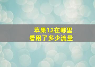 苹果12在哪里看用了多少流量