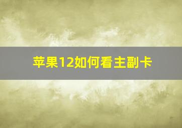 苹果12如何看主副卡