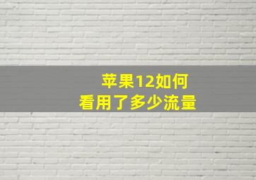 苹果12如何看用了多少流量