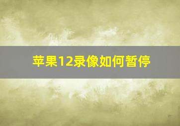 苹果12录像如何暂停