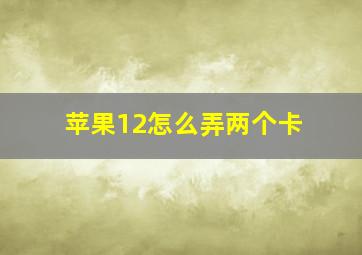 苹果12怎么弄两个卡