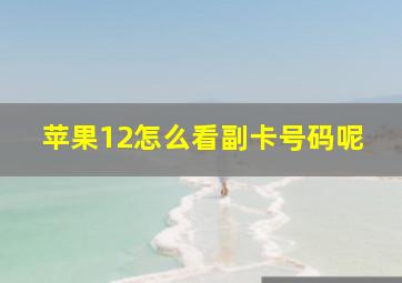 苹果12怎么看副卡号码呢