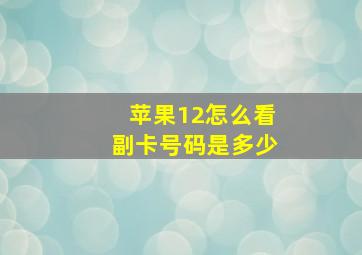 苹果12怎么看副卡号码是多少