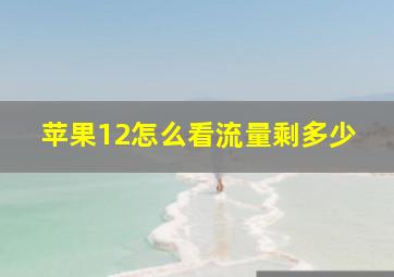 苹果12怎么看流量剩多少