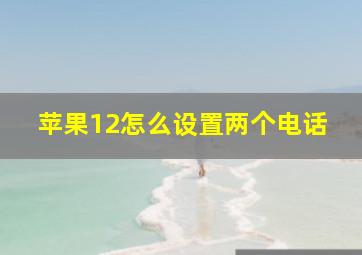 苹果12怎么设置两个电话