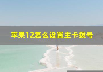 苹果12怎么设置主卡拨号