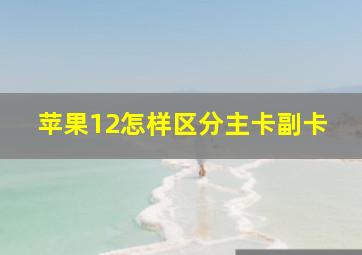 苹果12怎样区分主卡副卡