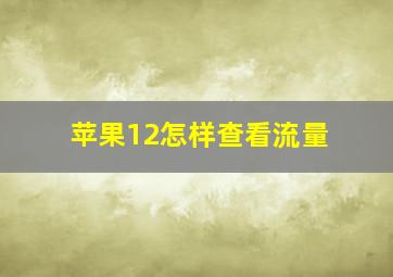 苹果12怎样查看流量