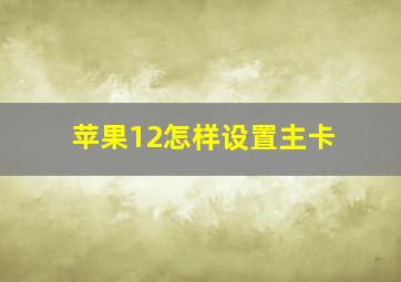 苹果12怎样设置主卡