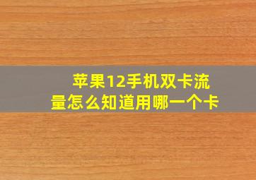 苹果12手机双卡流量怎么知道用哪一个卡