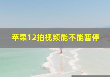 苹果12拍视频能不能暂停