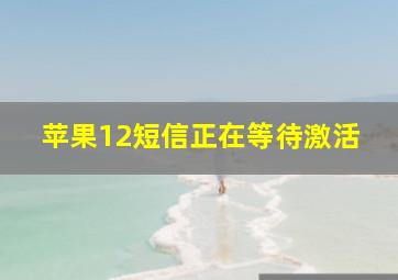 苹果12短信正在等待激活