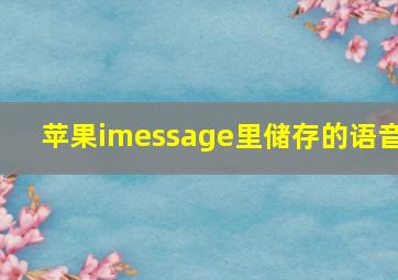 苹果imessage里储存的语音