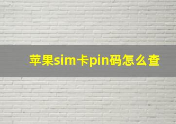 苹果sim卡pin码怎么查