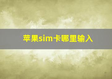 苹果sim卡哪里输入