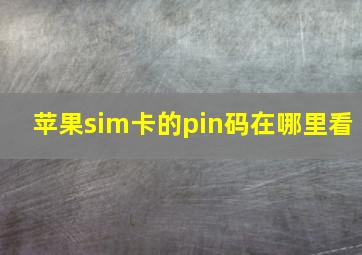 苹果sim卡的pin码在哪里看