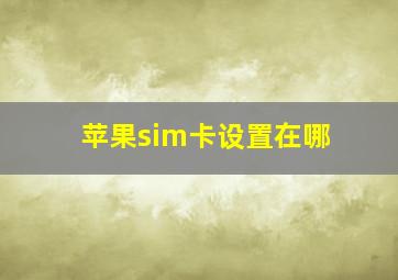 苹果sim卡设置在哪