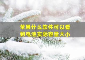 苹果什么软件可以看到电池实际容量大小