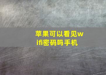 苹果可以看见wifi密码吗手机