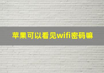 苹果可以看见wifi密码嘛