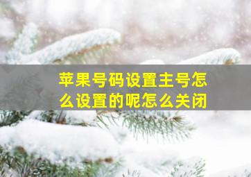 苹果号码设置主号怎么设置的呢怎么关闭