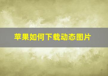 苹果如何下载动态图片