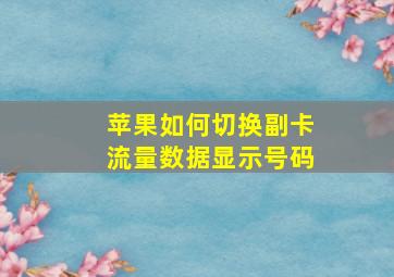 苹果如何切换副卡流量数据显示号码